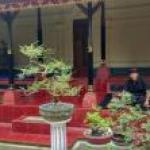 Foto Dewa Putra - Member Alapirabi, Kontak Jodoh dan Persahabatan Umat Se-Dharma